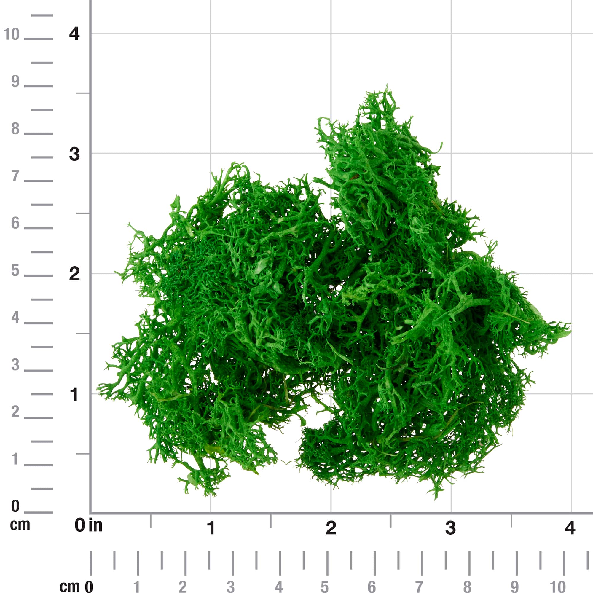 12 Pack: Scenery Plants by Make Market®